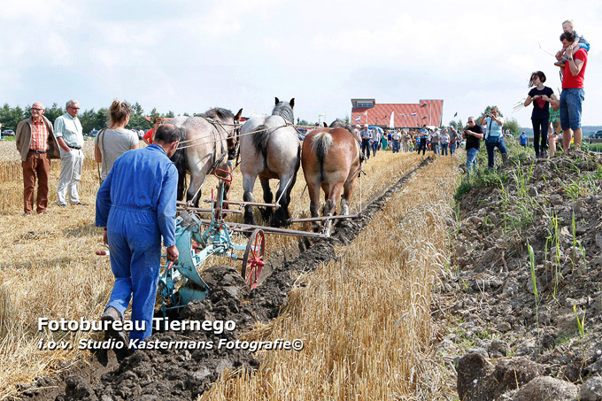 STE 170813 BOERENLANDDAG3
