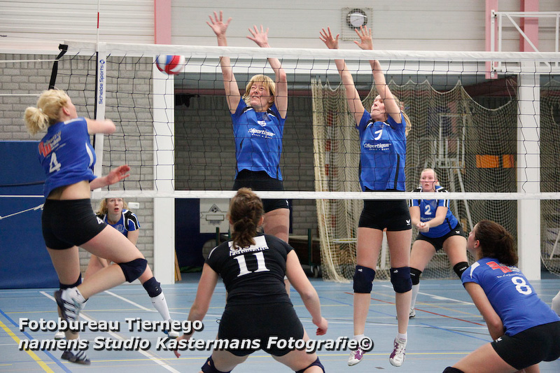 STE_11_01_VOLLEYBAL1