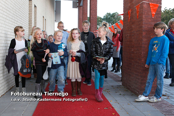 STE 01-1013 BOEKENBAL